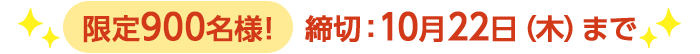 期間限定10/22(木)10:00まで