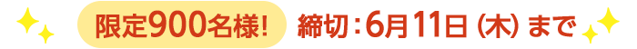 期間限定6/11(木)10:00まで