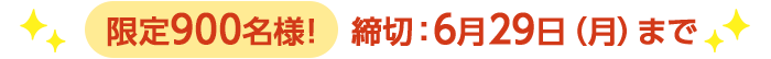 期間限定6/29(月)8:00まで
