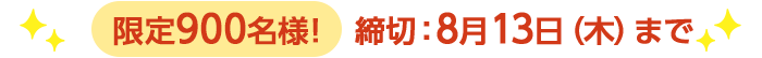 期間限定8/13(木)10:00まで