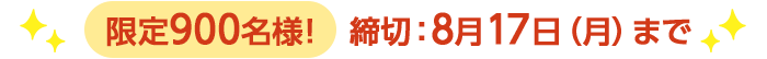 期間限定8/17(月)8:00まで
