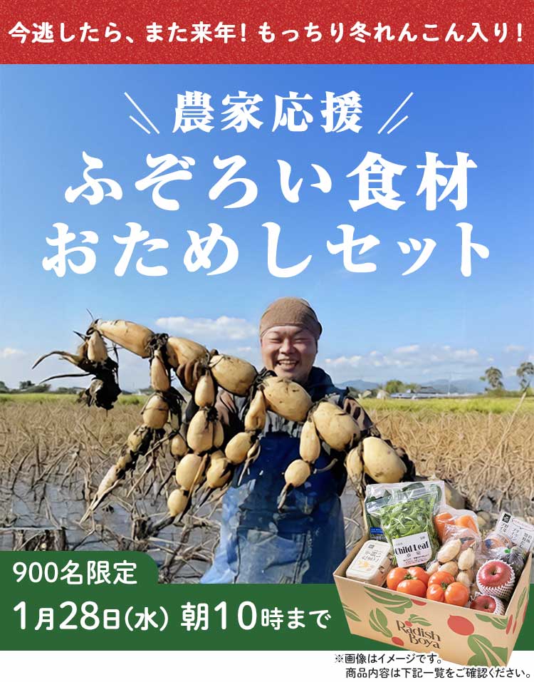 「ふぞろいだけど　ごちそう」まるごと味わうふぞろい食材　おためしセット