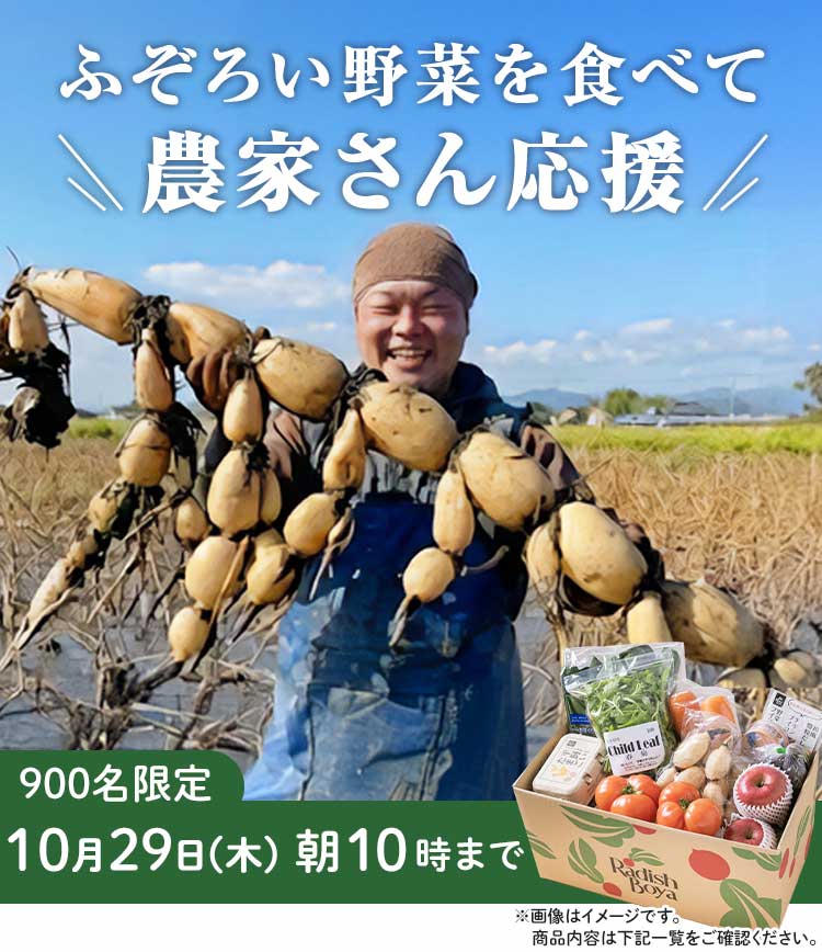 「ふぞろいだけど　ごちそう」まるごと味わうふぞろい食材　おためしセット