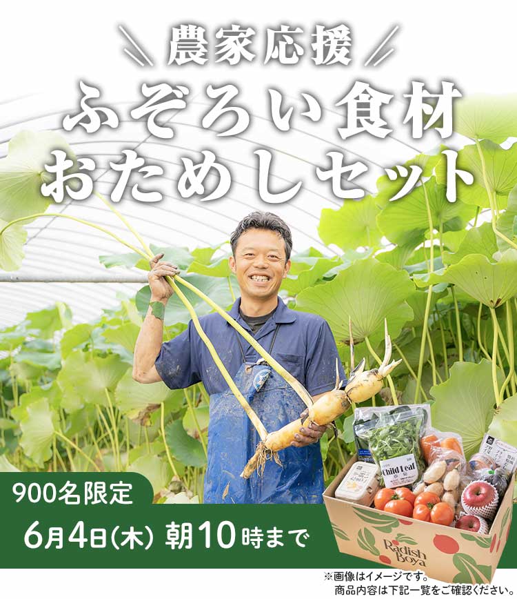 「ふぞろいだけど　ごちそう」まるごと味わうふぞろい食材　おためしセット