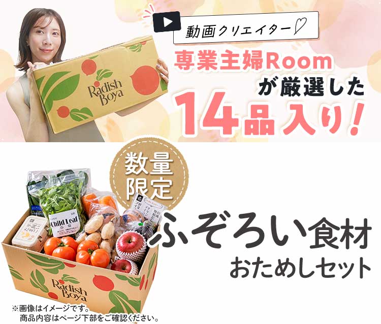 送料無料 数量限定 ふぞろい食材おためしセット