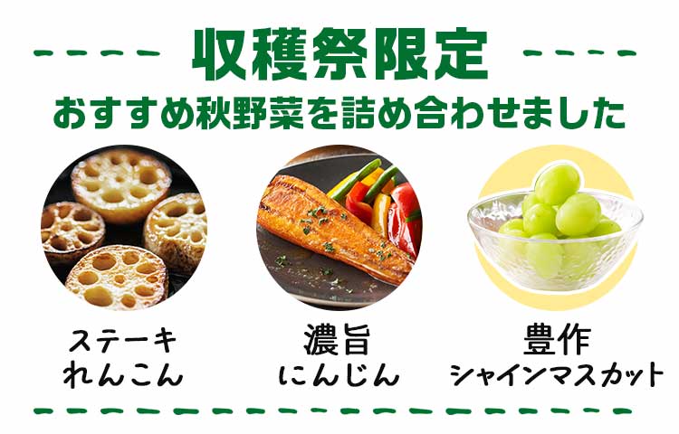 収穫祭限定 おすすめ秋野菜を詰め合わせました