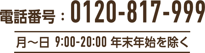 電話番号：0120-817-999