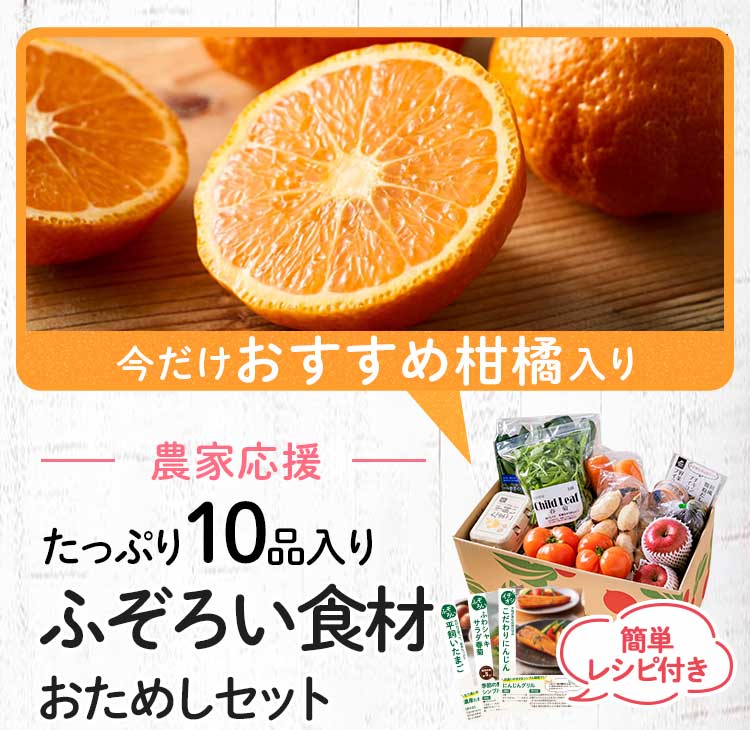 送料無料 数量限定 ふぞろい食材おためしセット