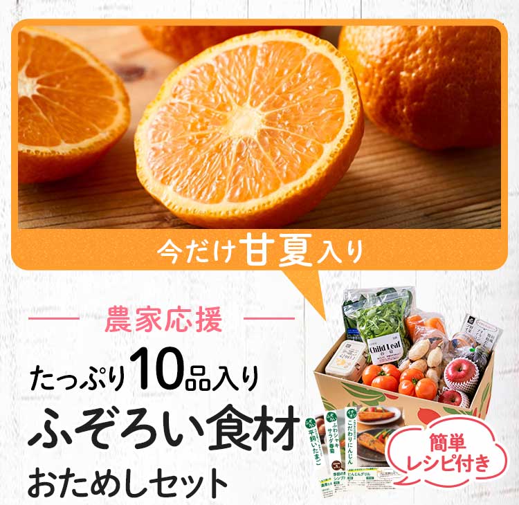 送料無料 数量限定 ふぞろい食材おためしセット