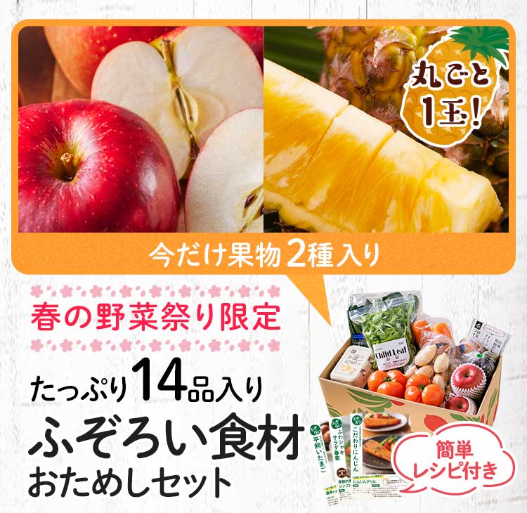 送料無料 数量限定 ふぞろい食材おためしセット