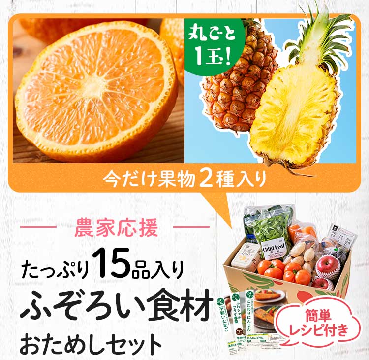 送料無料 数量限定 ふぞろい食材おためしセット