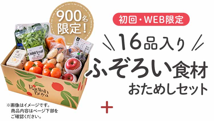 送料無料 数量限定 ふぞろい食材おためしセット