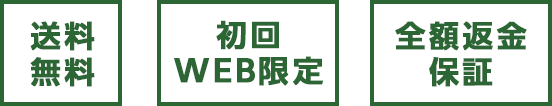 全国どこでも送料無料・定期ではありません・全額返金保証