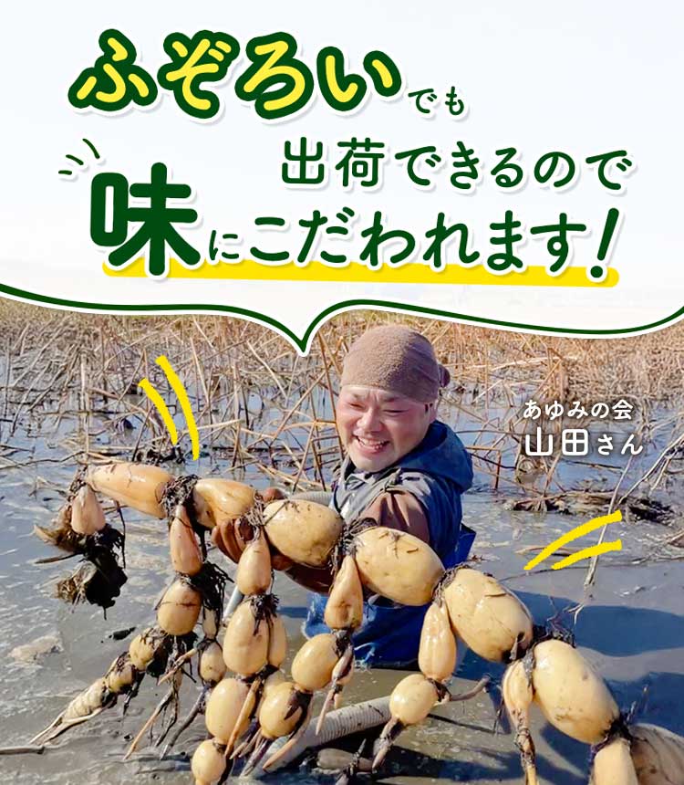 ふぞろいでも出荷できるので味にこだわれます！