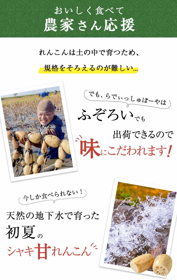 ふぞろいでも出荷できるので味にこだわれます！
