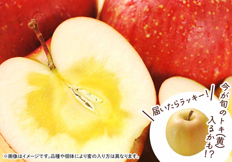 りんごイメージ