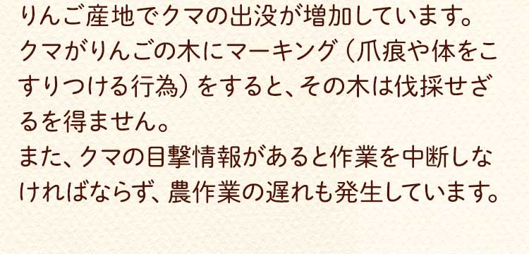 どんな被害状況？テキスト