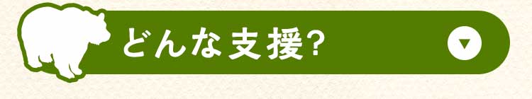 どんな支援？