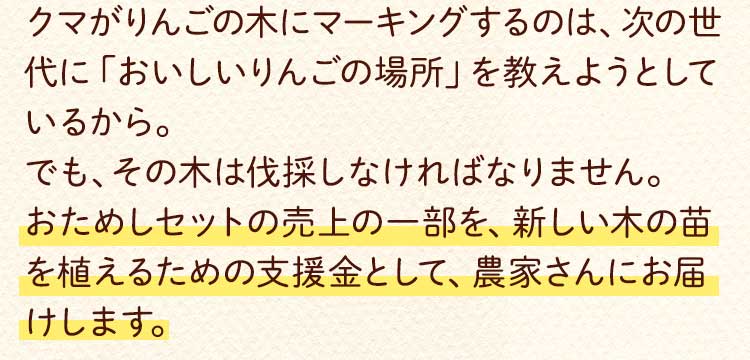 どんな支援？テキスト