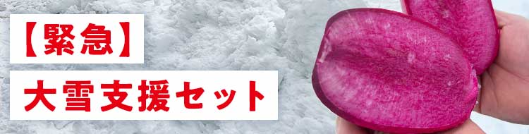 今逃したらまた来年！完熟いちご入り