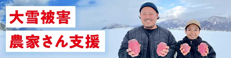 大雪被害 農家さん支援