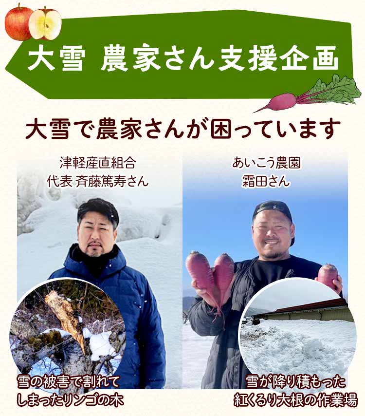 生産者支援企画　熊りんご