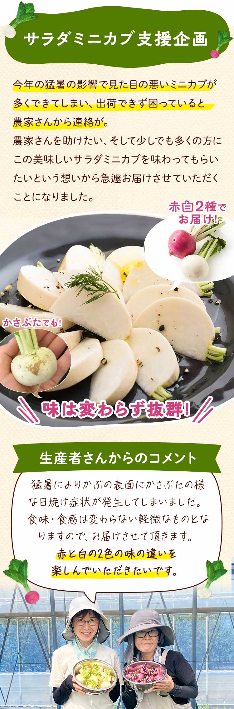 生産者支援企画　サラダミニカブ