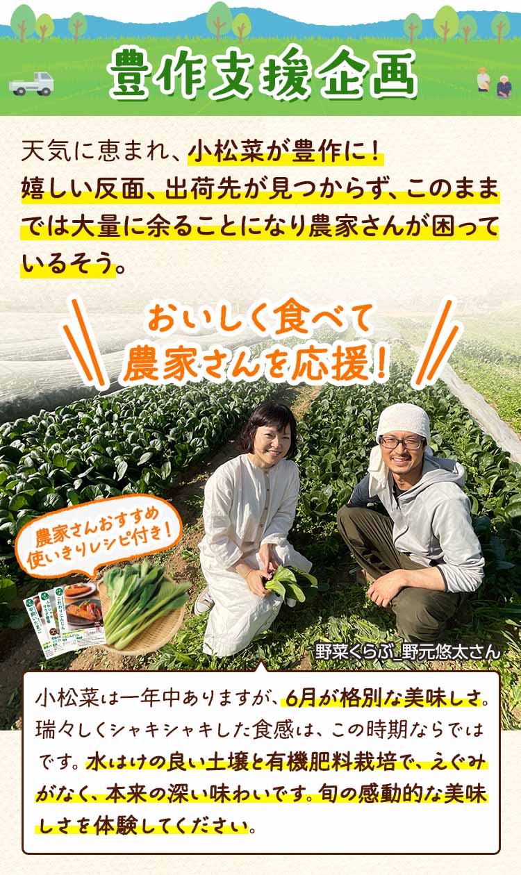 生産者支援企画　ふぞろいにんじん