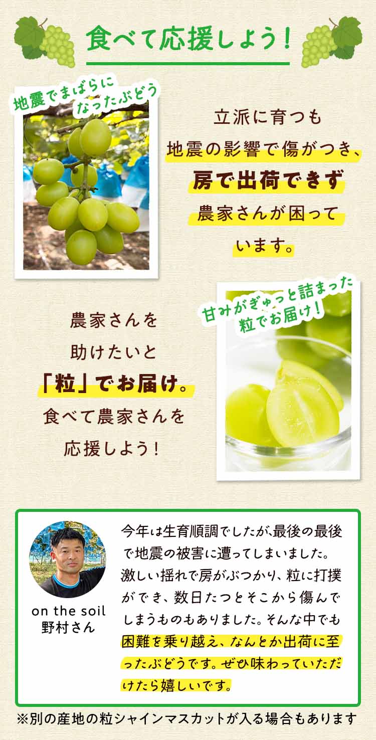 食べて応援しよう！熊本支援シャインマスカット