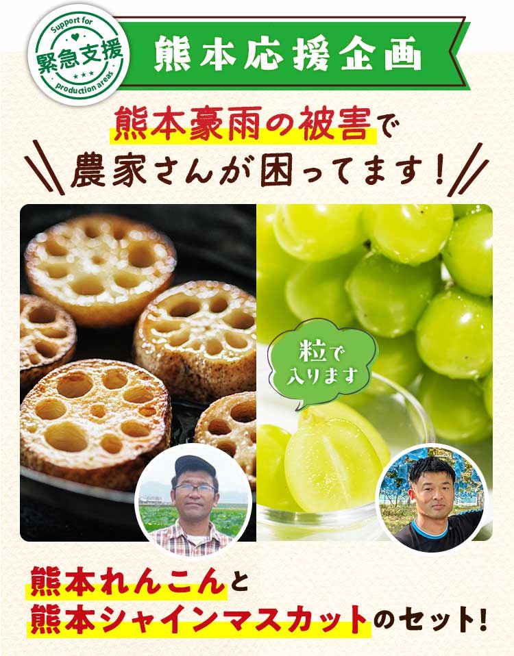 熊本豪雨支援企画　れんこん　粒シャインマスカット