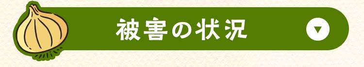 どんな被害状況？