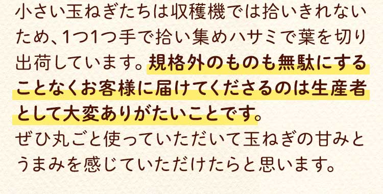 どんな支援？テキスト