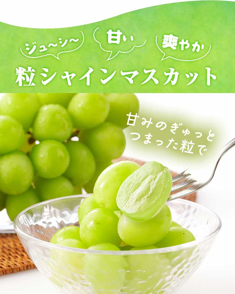 粒シャインマスカット