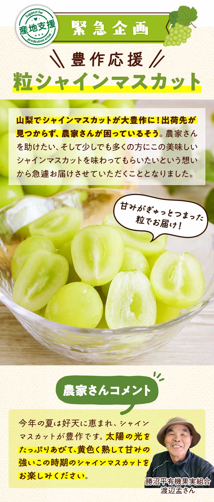 生産者支援企画　シャインマスカット