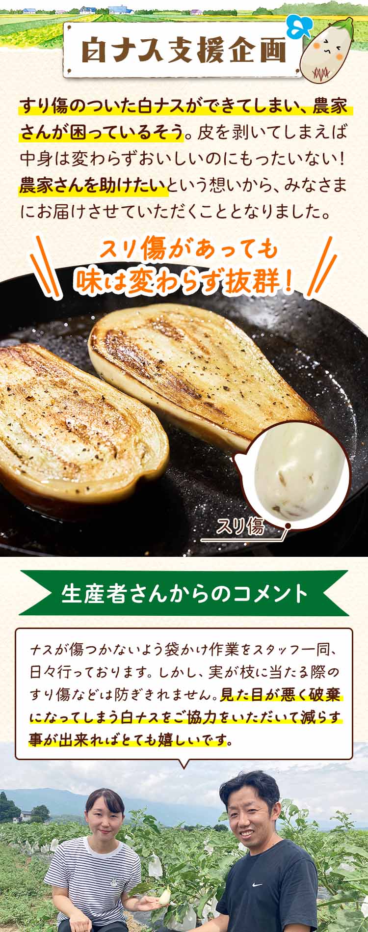 生産者支援企画　白ナス