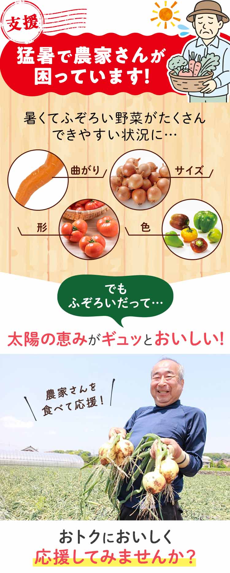 らでぃっしゅぼーやの野菜はここが違う