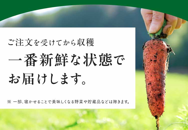 お届け日について らでぃっしゅぼーやではご注文を受けてからお野菜や果物を収穫しております※。一番新鮮でおいしい状態で食材をお届けしたいため、ご注文から一週間前後の発送となっております。（ご注文フォームにて選択できない日時は既に完売となっております）すぐにお届けできず大変恐縮ですが、何卒ご理解のほどよろしくお願いいたします。