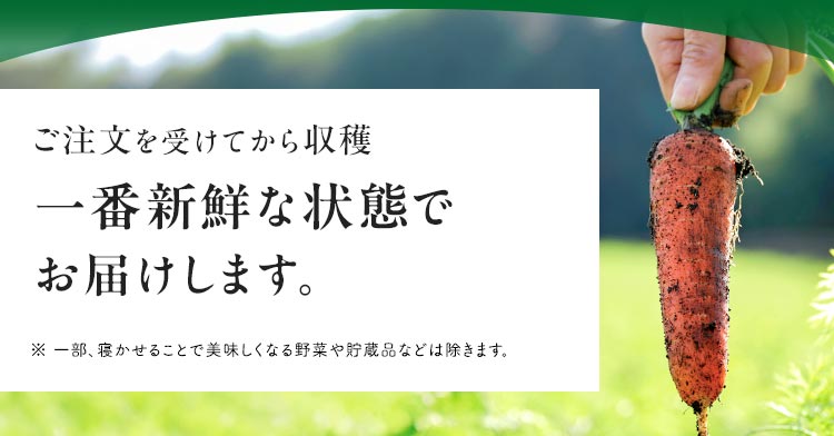 お届け日について らでぃっしゅぼーやではご注文を受けてからお野菜や果物を収穫しております※。一番新鮮でおいしい状態で食材をお届けしたいため、ご注文から一週間前後の発送となっております。（ご注文フォームにて選択できない日時は既に完売となっております）すぐにお届けできず大変恐縮ですが、何卒ご理解のほどよろしくお願いいたします。