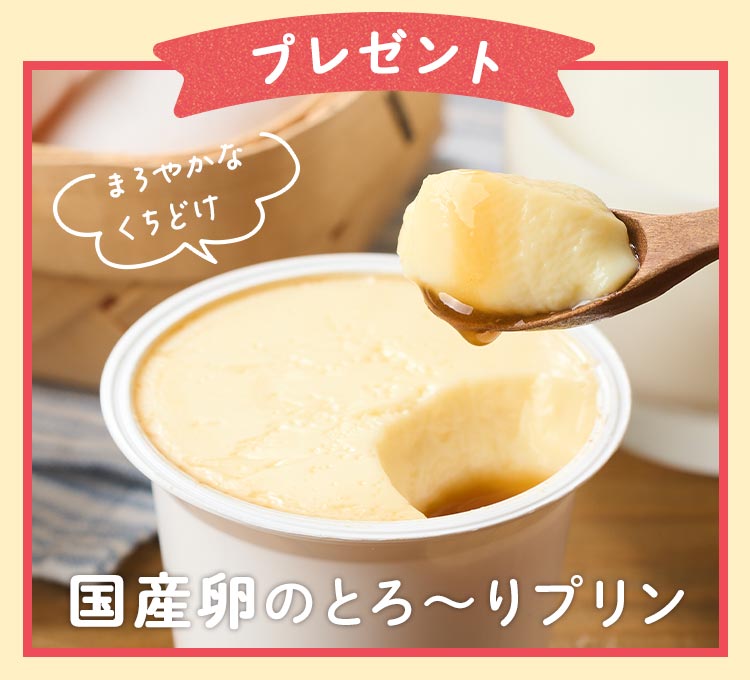プリンプレゼント