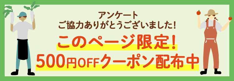 ご協力ありがとうございました!らでぃしゅぼーやの有機・特別栽培で育った「ふぞろい食材おためしセット」がお得にためせる限定キャンペーンをご紹介します。