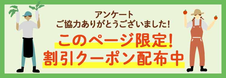ご協力ありがとうございました!らでぃしゅぼーやの有機・特別栽培で育った「ふぞろい食材おためしセット」がお得にためせる限定キャンペーンをご紹介します。