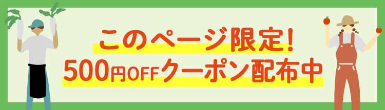 ご協力ありがとうございました!らでぃしゅぼーやの有機・特別栽培で育った「ふぞろい食材おためしセット」がお得にためせる限定キャンペーンをご紹介します。