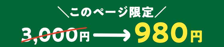 このページ限定　3000円→980円