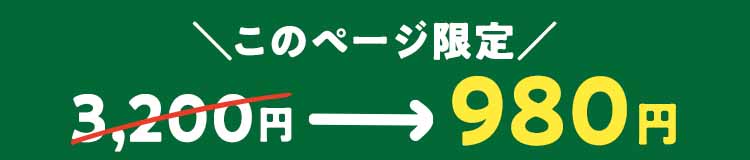 クーポン適用中 3200円→980円