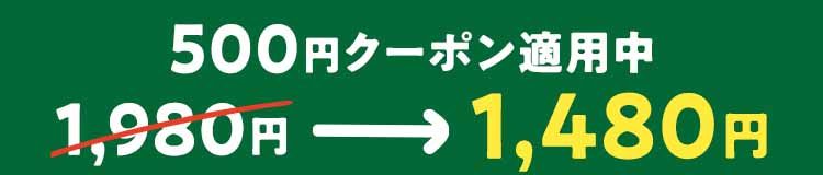 500円クーポン適用中　1980円→1480円