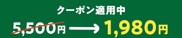 クーポン適用中　5500円→1980円