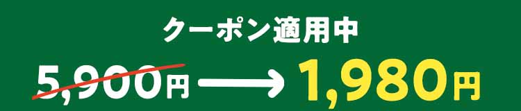 クーポン適用中　5900円→1980円