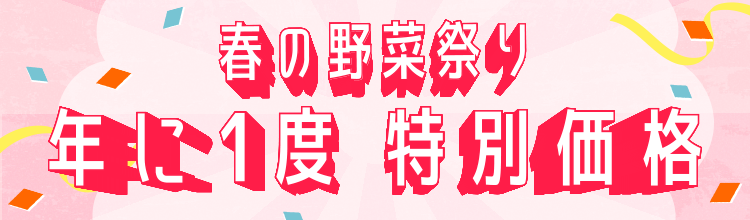 春の野菜祭り 年に1度の特別価格