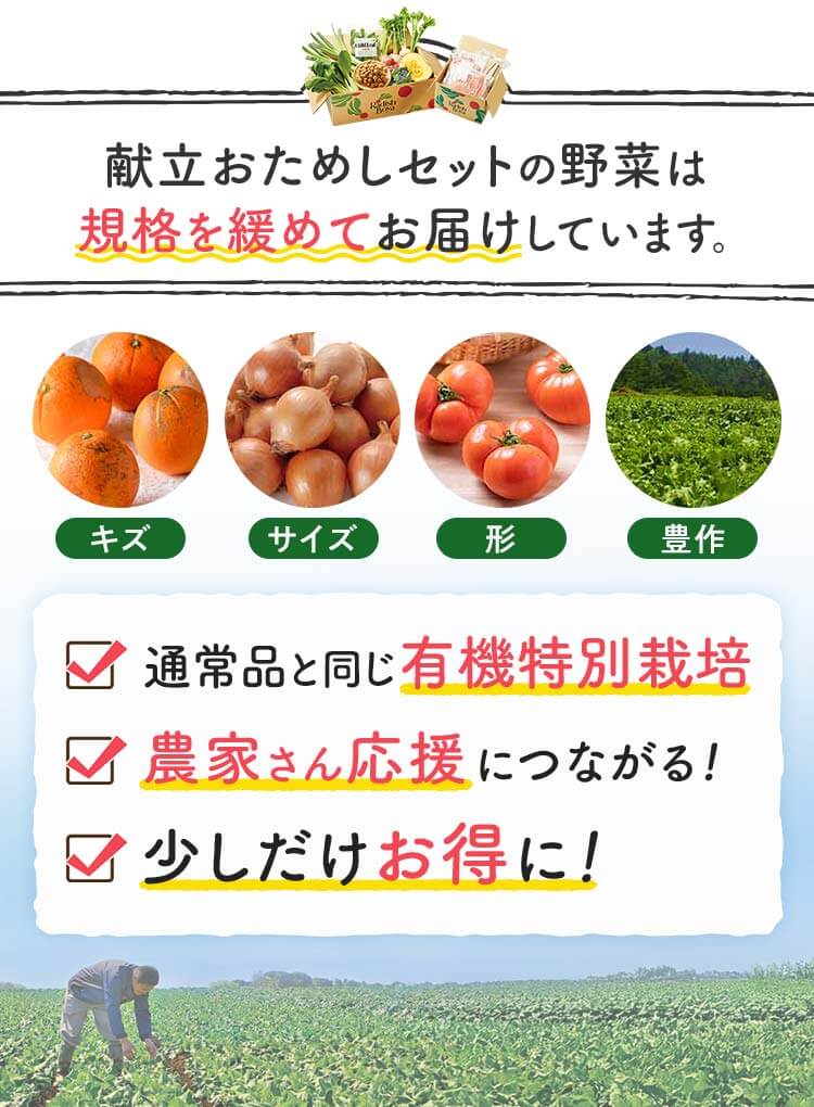 献立おためしセットの野菜は規格を緩めてお届けしています