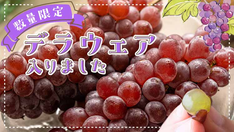 果物バナー
